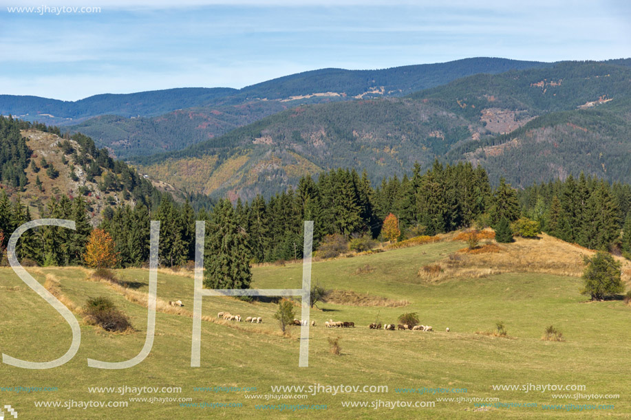 Amazing autumn panorama near village of Gela, Smolyan Region, Bulgaria