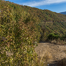 Autumn landscape of the Vacha (Antonivanovtsy) Reservoir, Rhodopes Mountain, Bulgaria