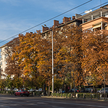 SOFIA, BULGARIA - NOVEMBER 7, 2017: Autumn Sunset Tsarigradsko Shosse boulevard, Sofia, Bulgaria