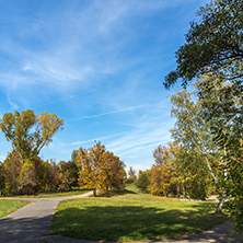Autumn landscape with Yellow trees in South Park in city of Sofia, Bulgaria