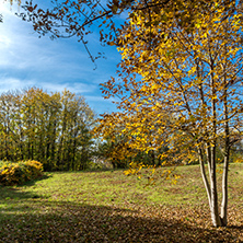 Autumn landscape with Yellow trees in South Park in city of Sofia, Bulgaria
