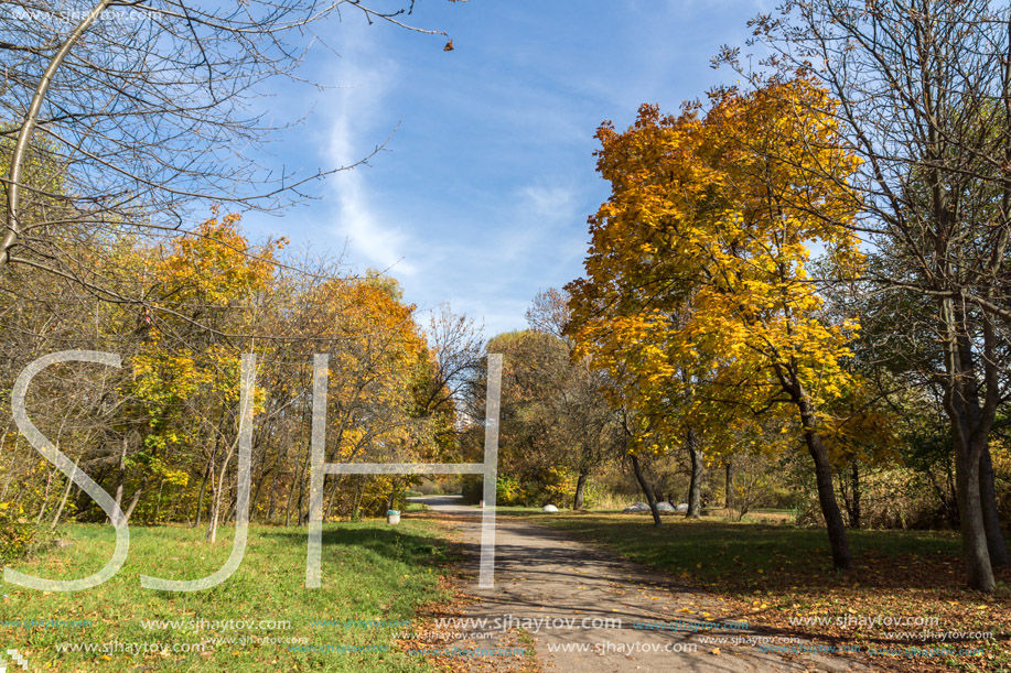 Autumn landscape with Yellow trees in South Park in city of Sofia, Bulgaria