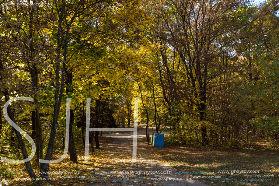 Autumn landscape with Yellow trees in South Park in city of Sofia, Bulgaria