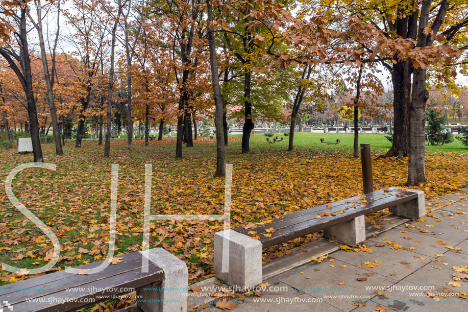 SOFIA, BULGARIA -NOVEMBER 12, 2017: Park in front of  National Palace of Culture in Sofia, Bulgaria
