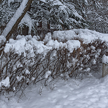 Winter Landscape with snow covered trees in South Park in city of Sofia, Bulgaria