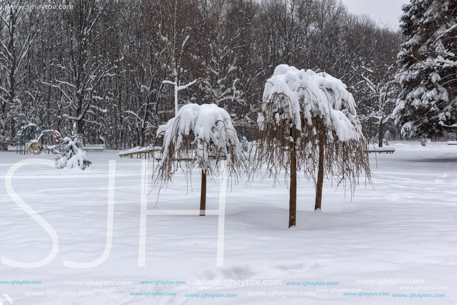 Winter Landscape with snow covered trees in South Park in city of Sofia, Bulgaria