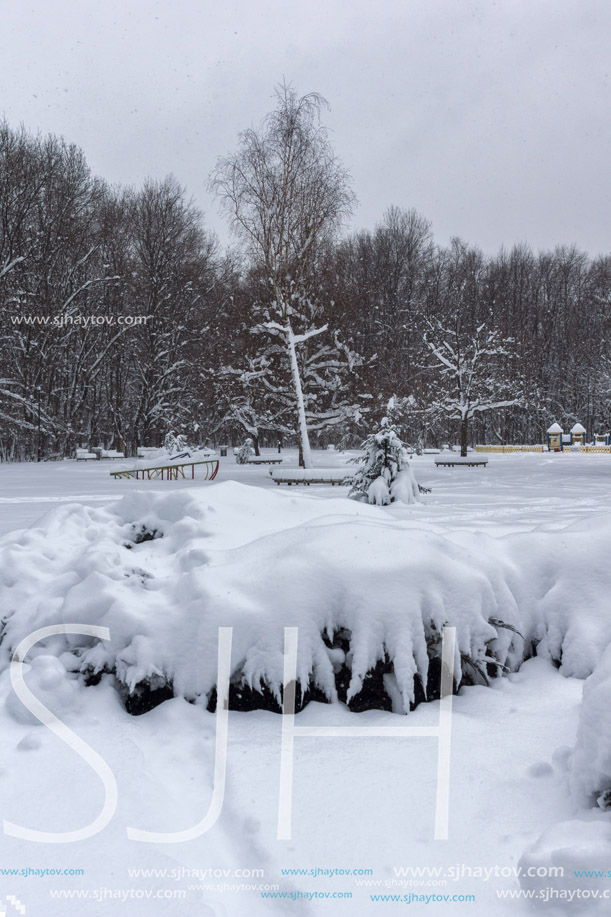 Winter Landscape with snow covered trees in South Park in city of Sofia, Bulgaria