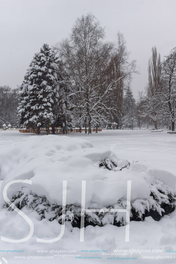 Winter Landscape with snow covered trees in South Park in city of Sofia, Bulgaria