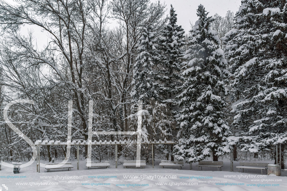 Winter Landscape with snow covered trees in South Park in city of Sofia, Bulgaria