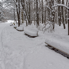 Winter Landscape with snow covered trees in South Park in city of Sofia, Bulgaria