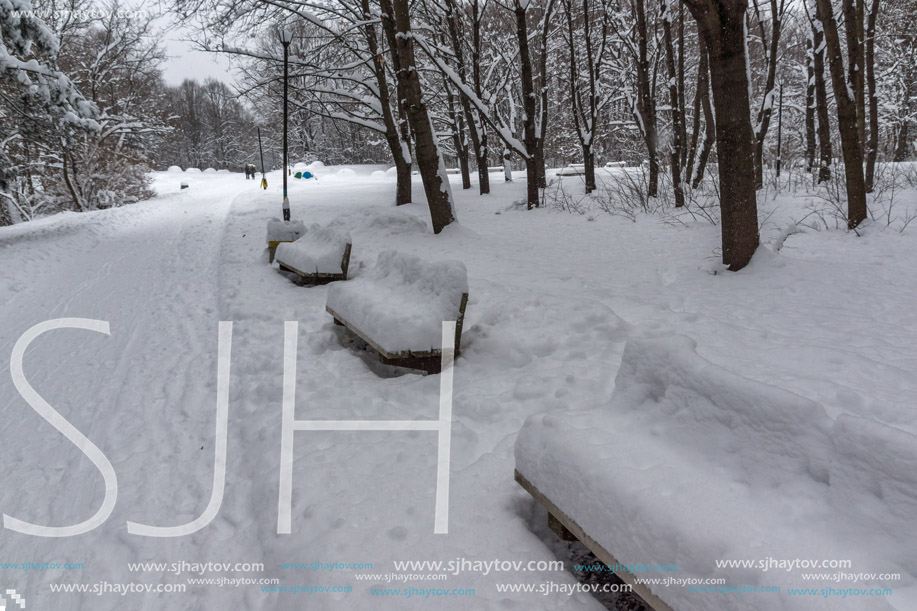 Winter Landscape with snow covered trees in South Park in city of Sofia, Bulgaria