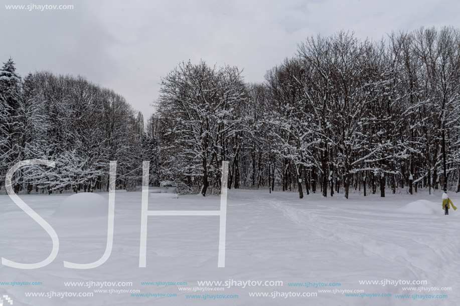 Winter Landscape with snow covered trees in South Park in city of Sofia, Bulgaria