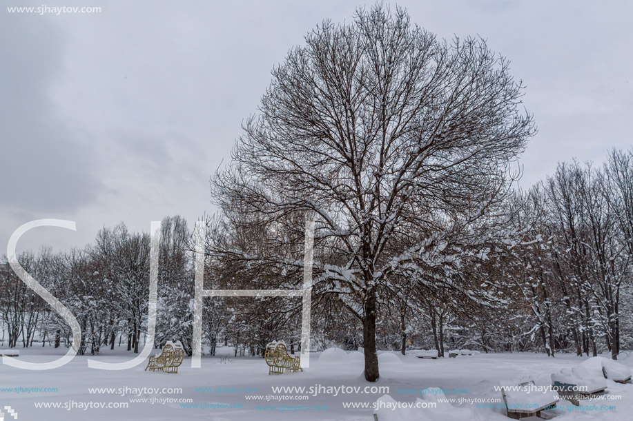 Winter Landscape with snow covered trees in South Park in city of Sofia, Bulgaria