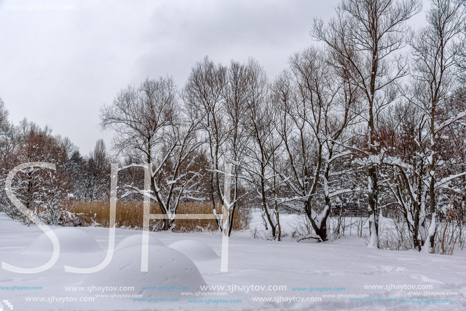 Winter Landscape with snow covered trees in South Park in city of Sofia, Bulgaria