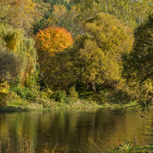 Autumn of Pancharevo lake, Sofia city Region, Bulgaria