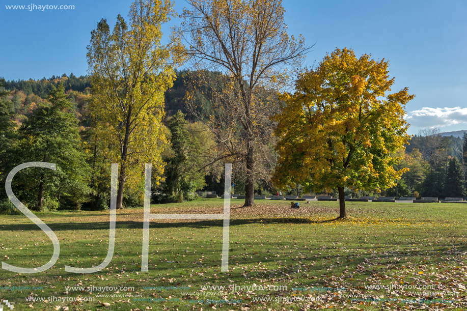 Autumn Landscape with yellow tree near Pancharevo lake, Sofia city Region, Bulgaria