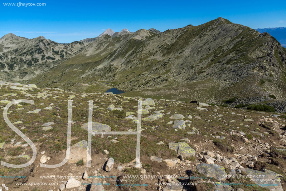 Amazing Summer landscape of green hills of Pirin Mountain, Bulgaria