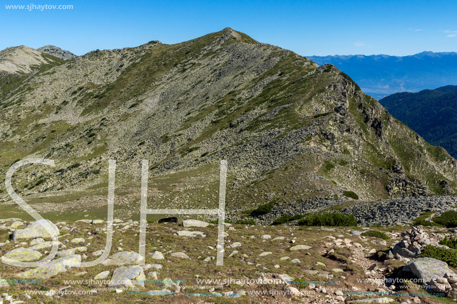 Amazing Summer landscape of green hills of Pirin Mountain, Bulgaria