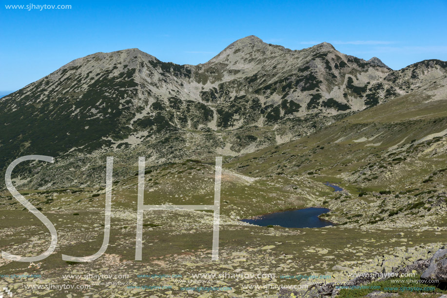 Amazing Summer landscape of green hills of Pirin Mountain, Bulgaria