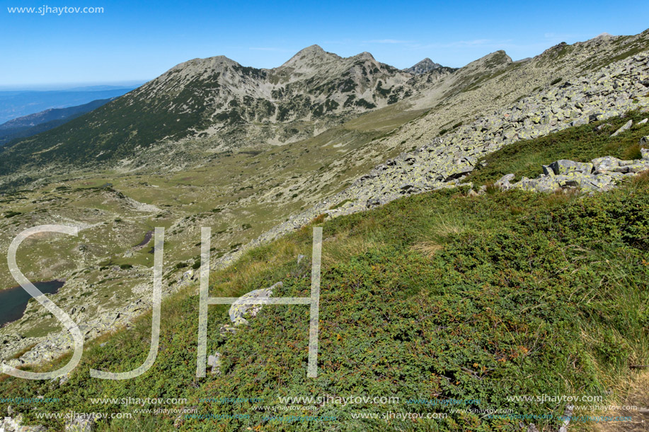 Amazing Summer landscape of green hills of Pirin Mountain, Bulgaria