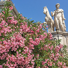 ROME, ITALY - JUNE 23, 2017: Statue and Flowers in front of Capitoline Museums in city of Rome, Italy