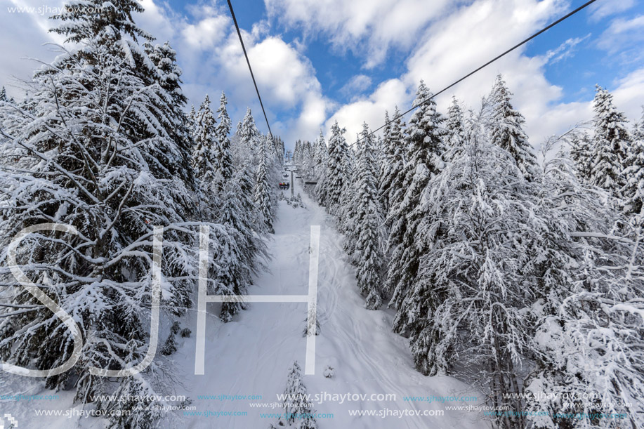 Amazing winter landscape of Rhodope Mountains near pamporovo resort, Smolyan Region, Bulgaria