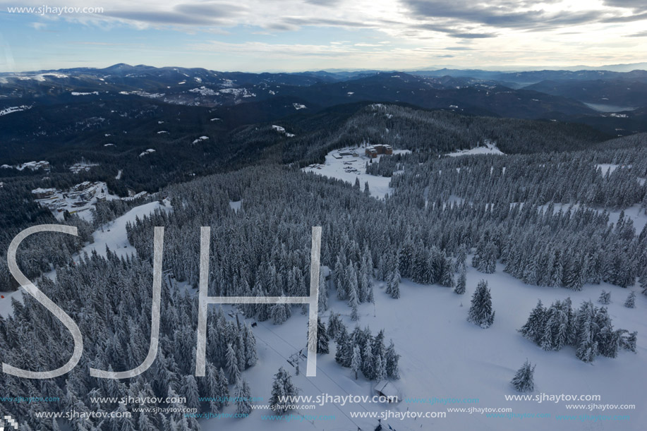 Amazing winter landscape of Rhodope Mountains near pamporovo resort, Smolyan Region, Bulgaria