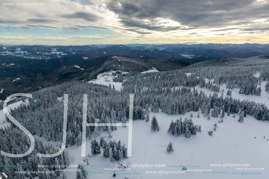 Amazing winter landscape of Rhodope Mountains near pamporovo resort, Smolyan Region, Bulgaria