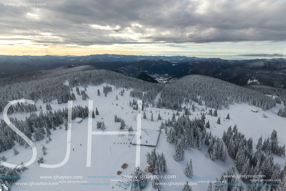 Amazing winter landscape of Rhodope Mountains near pamporovo resort, Smolyan Region, Bulgaria