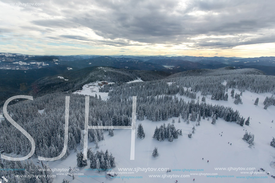 Amazing winter landscape of Rhodope Mountains near pamporovo resort, Smolyan Region, Bulgaria