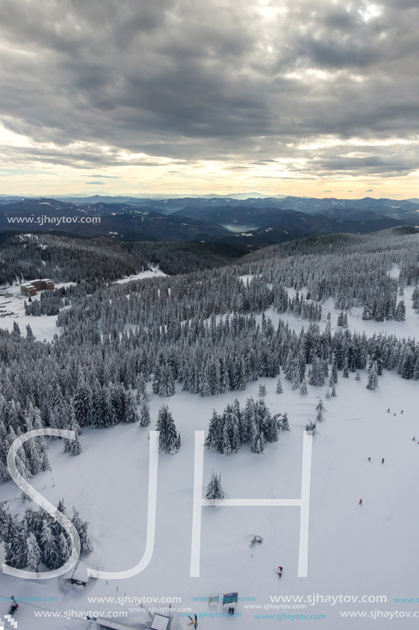 Amazing winter landscape of Rhodope Mountains near pamporovo resort, Smolyan Region, Bulgaria