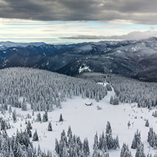 Amazing winter landscape of Rhodope Mountains near pamporovo resort, Smolyan Region, Bulgaria