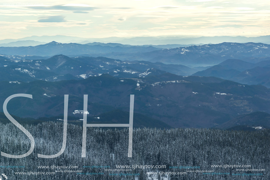 Amazing winter landscape of Rhodope Mountains near pamporovo resort, Smolyan Region, Bulgaria