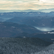 Amazing winter landscape of Rhodope Mountains near pamporovo resort, Smolyan Region, Bulgaria