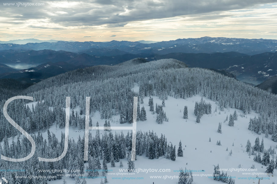 Amazing winter landscape of Rhodope Mountains near pamporovo resort, Smolyan Region, Bulgaria