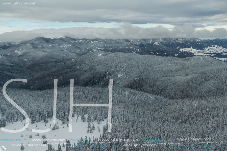 Amazing winter landscape of Rhodope Mountains near pamporovo resort, Smolyan Region, Bulgaria