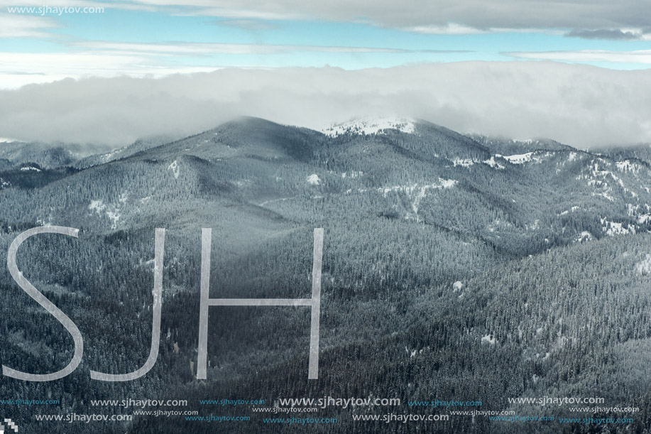 Amazing winter landscape of Rhodope Mountains near pamporovo resort, Smolyan Region, Bulgaria