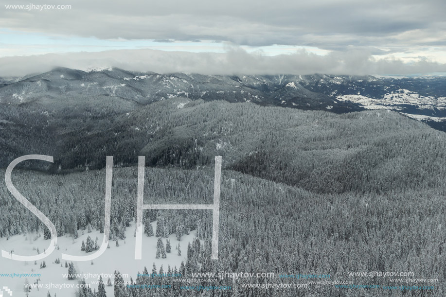 Amazing winter landscape of Rhodope Mountains near pamporovo resort, Smolyan Region, Bulgaria