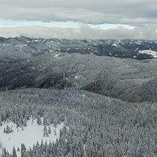 Amazing winter landscape of Rhodope Mountains near pamporovo resort, Smolyan Region, Bulgaria