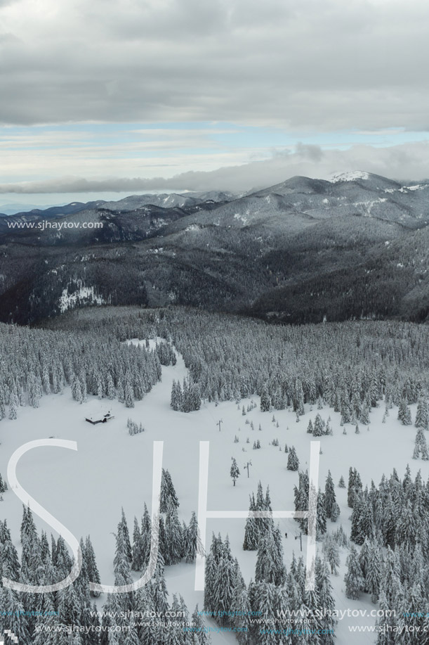 Amazing winter landscape of Rhodope Mountains near pamporovo resort, Smolyan Region, Bulgaria