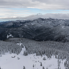 Amazing winter landscape of Rhodope Mountains near pamporovo resort, Smolyan Region, Bulgaria