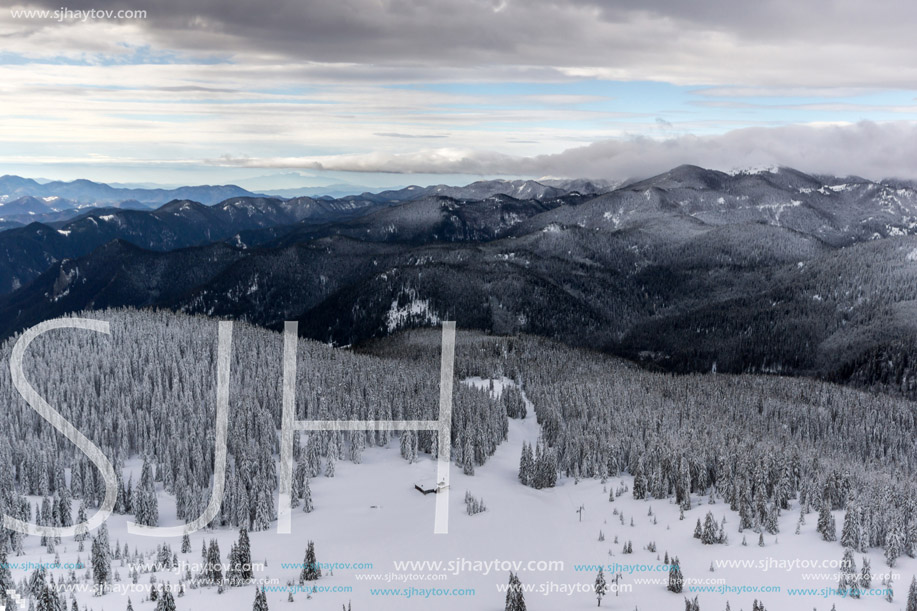 Amazing winter landscape of Rhodope Mountains near pamporovo resort, Smolyan Region, Bulgaria