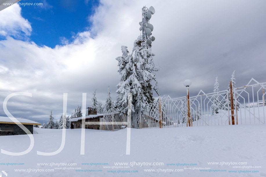 Amazing winter landscape of Rhodope Mountains near pamporovo resort, Smolyan Region, Bulgaria