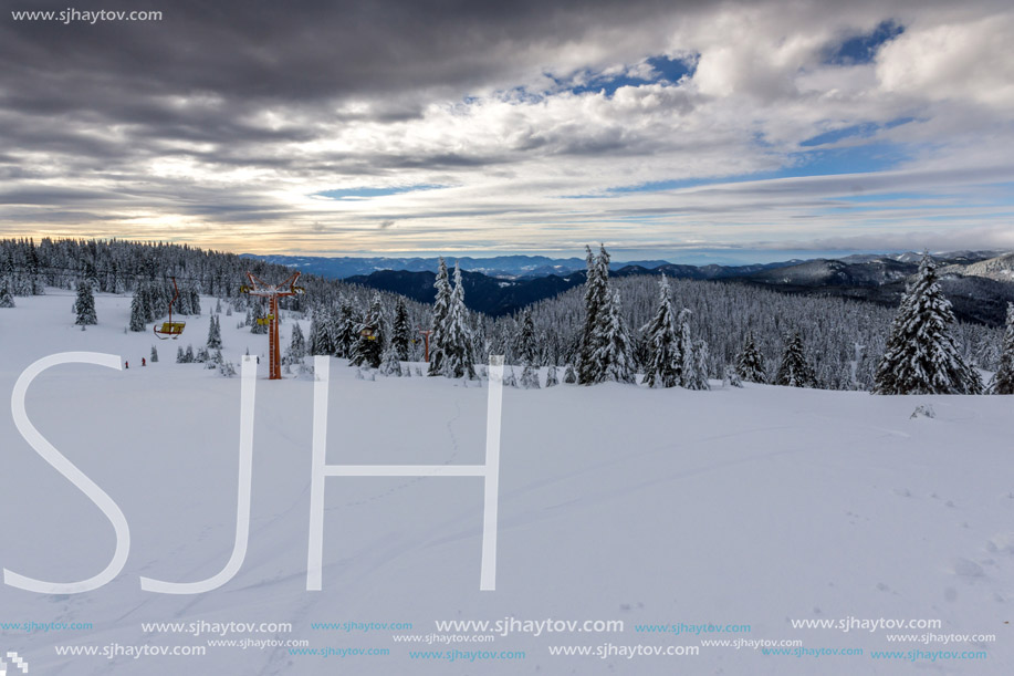 Amazing winter landscape of Rhodope Mountains near pamporovo resort, Smolyan Region, Bulgaria