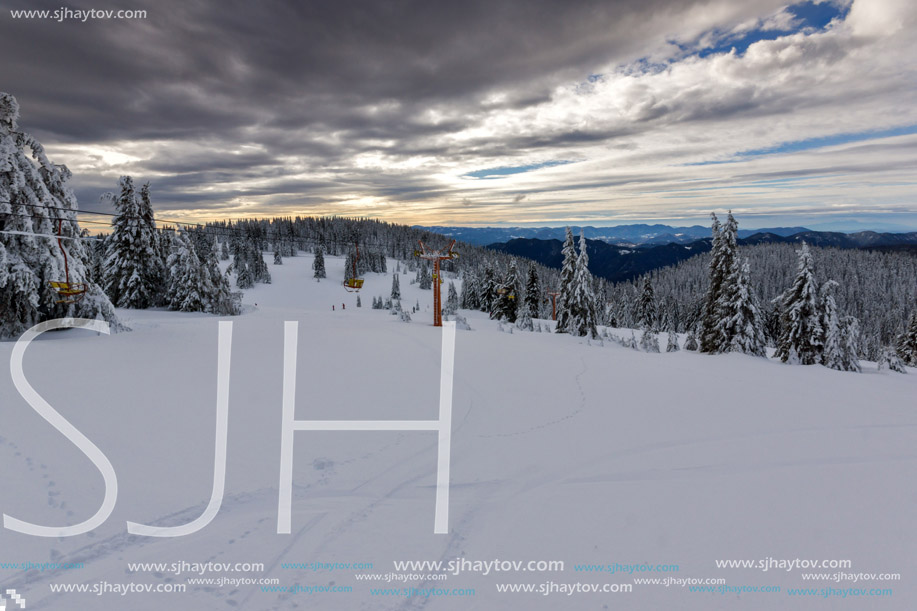 Amazing winter landscape of Rhodope Mountains near pamporovo resort, Smolyan Region, Bulgaria