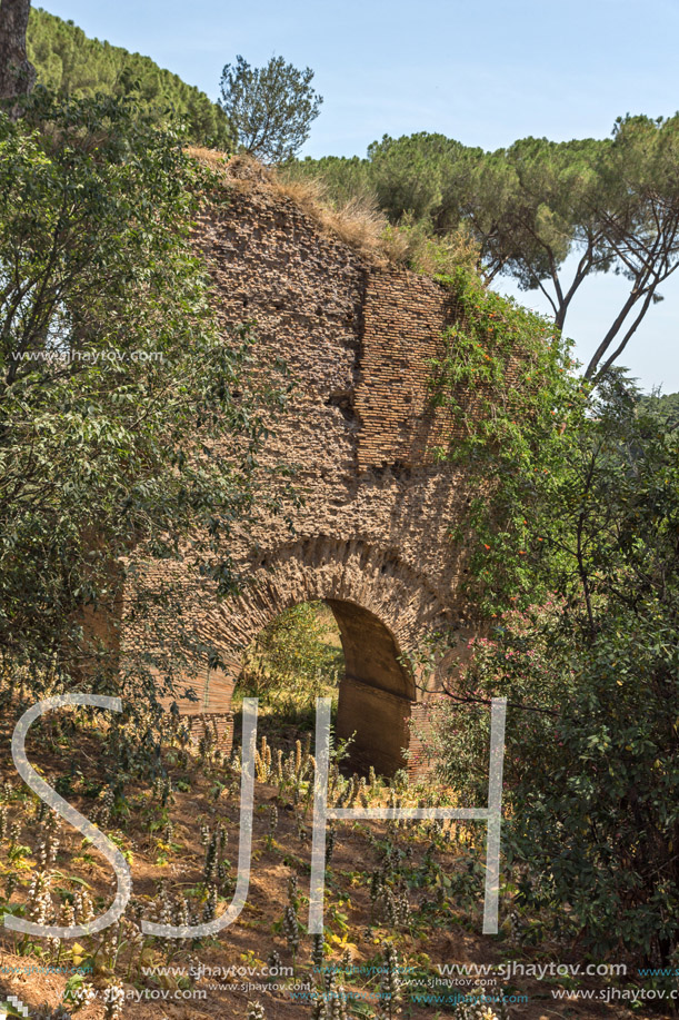 ROME, ITALY - JUNE 24, 2017: Panoramic view of ruins in Palatine Hill in city of Rome, Italy