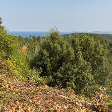 Amazing summer landscape of Chalkidiki, Central Macedonia, Greece