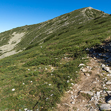 Amazing Summer landscape of Pirin Mountain, Bulgaria