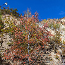 Amazing Autumn Landscape of Rock Formation Devil"s town in Radan Mountain, Serbia