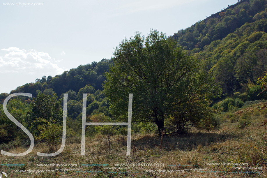 Amazing Landscape near Glozhene Monastery, Stara Planina Mountain  (Balkan Mountains), Lovech region, Bulgaria